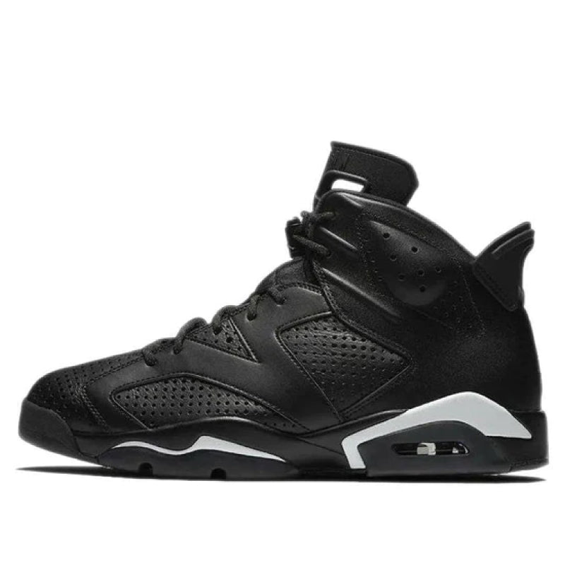 Air Jordan 6 Black Cat